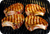 All Natural Duroc Pork Rib Chop Bone-In